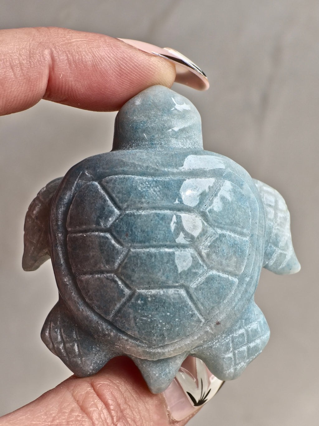 Blue Trolleite Turtle