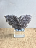 Black Amethyst Druzy Butterfly Carving