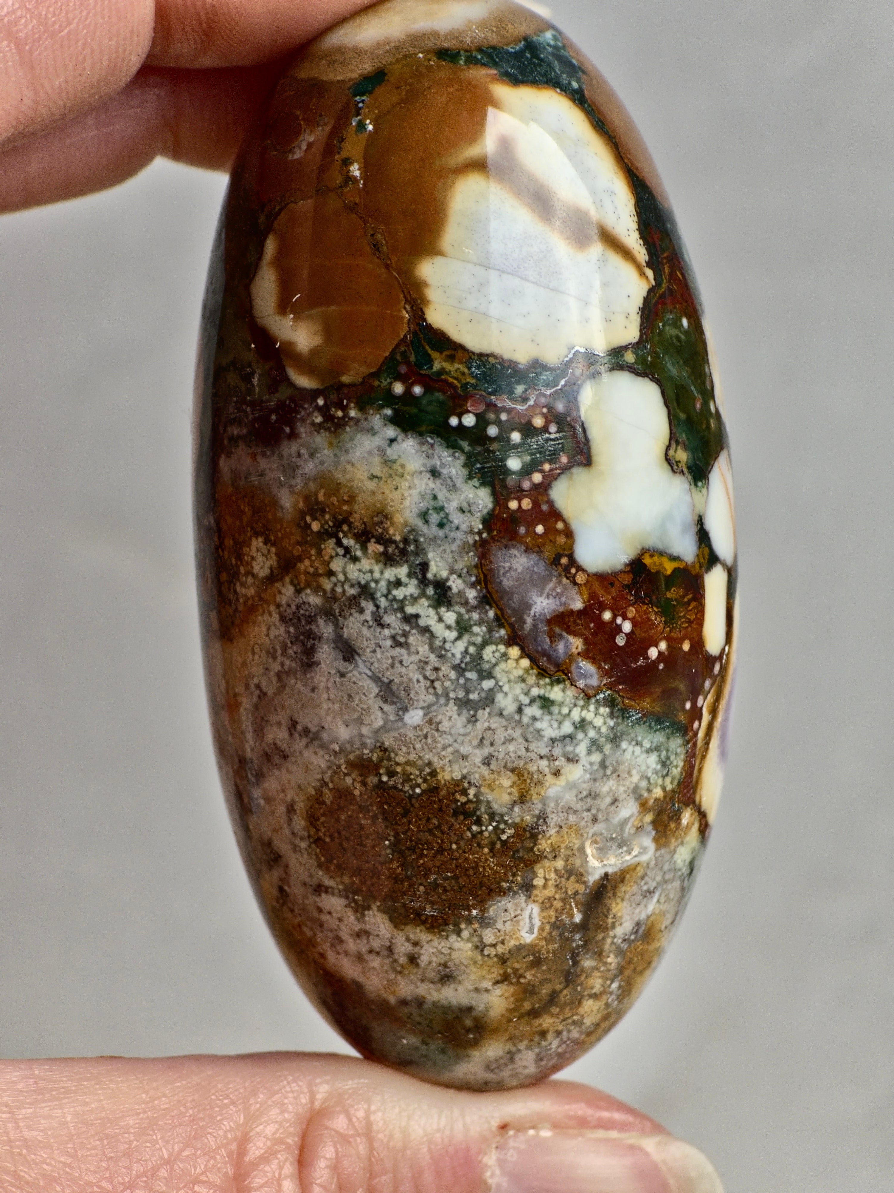 King Cobra (Orbicular) Indian Jasper Shiva Lingham