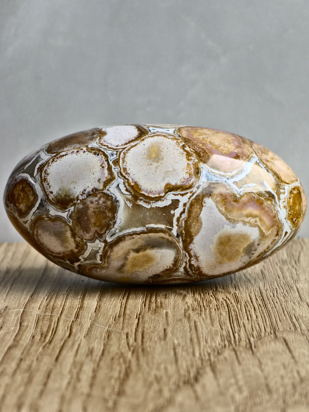King Cobra (Orbicular) Indian Jasper Shiva Lingham