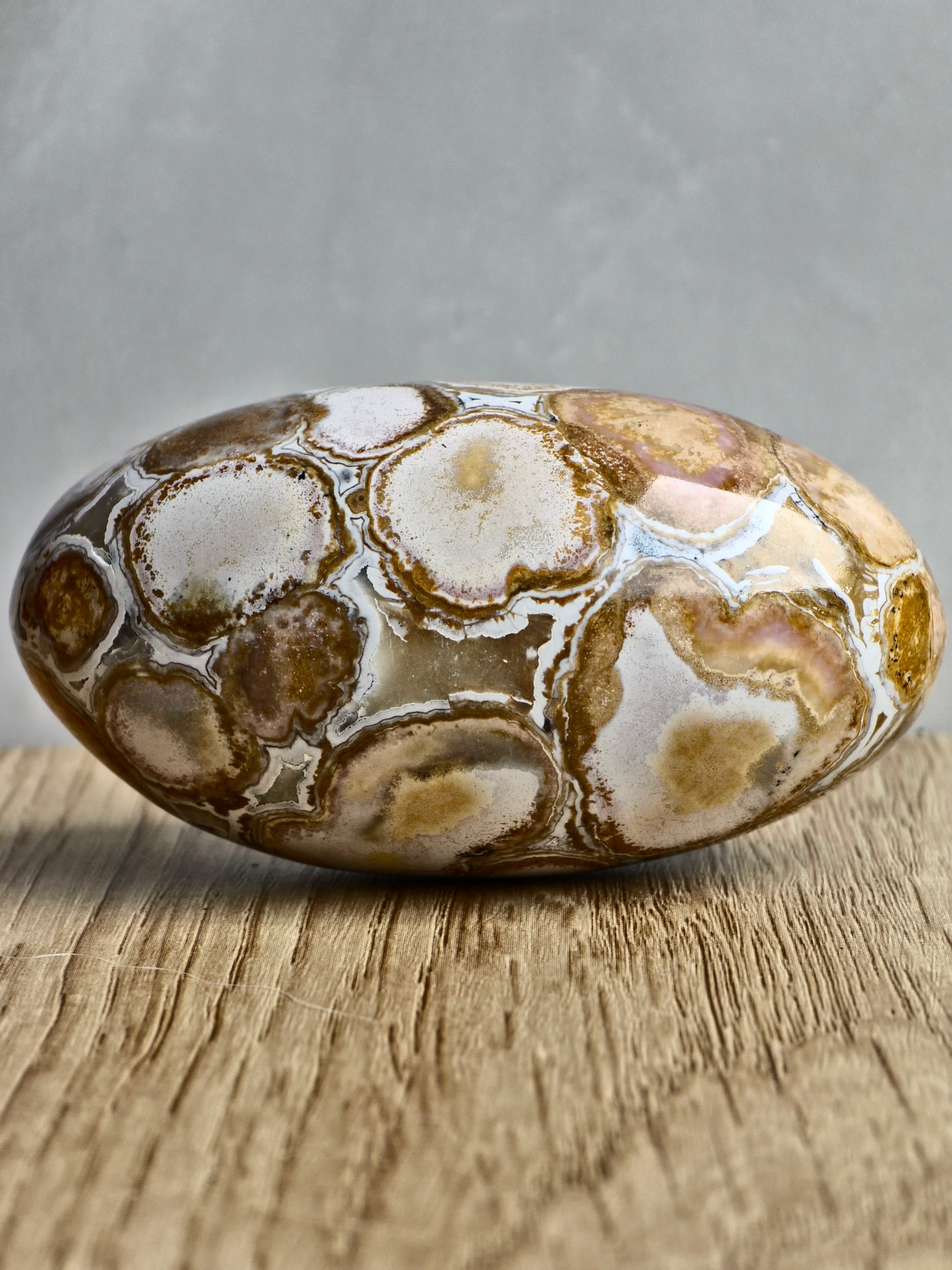 King Cobra (Orbicular) Indian Jasper Shiva Lingham