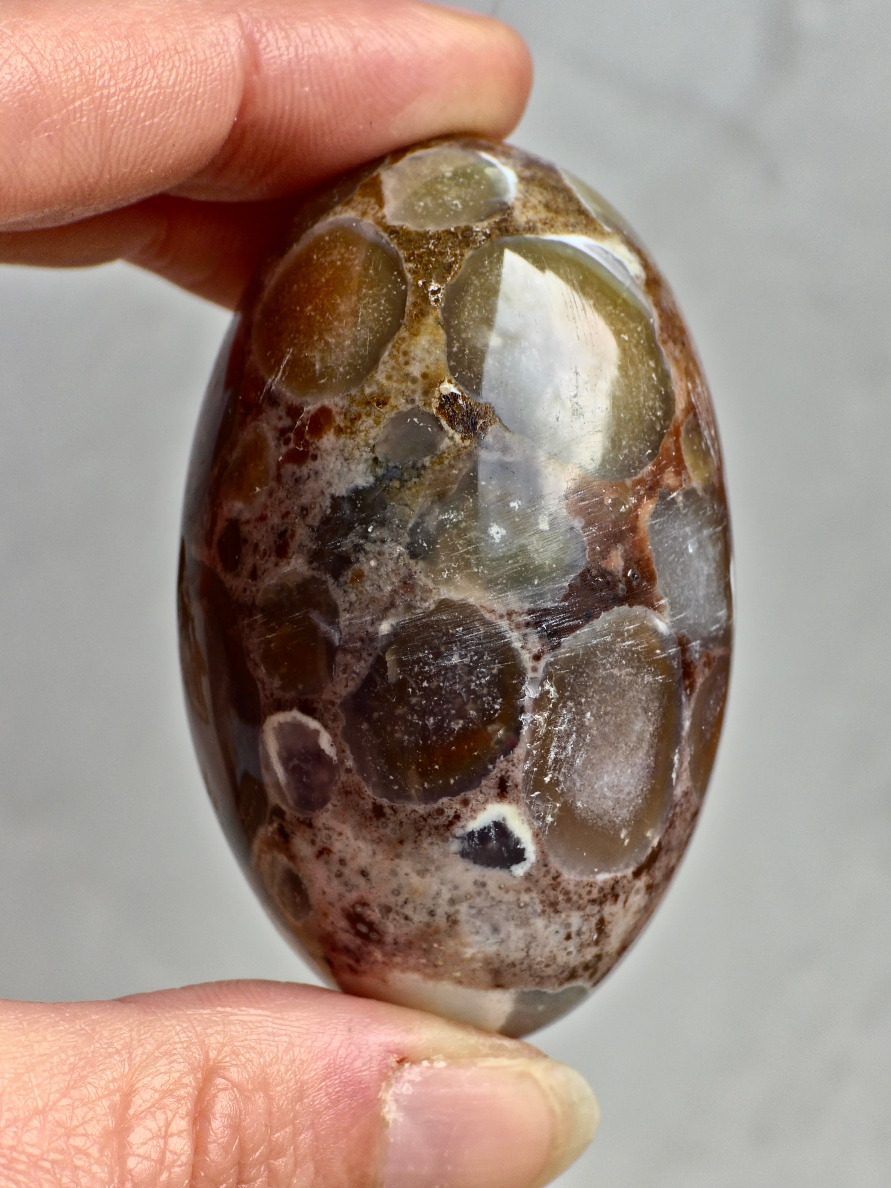 King Cobra (Orbicular) Indian Jasper Shiva Lingham
