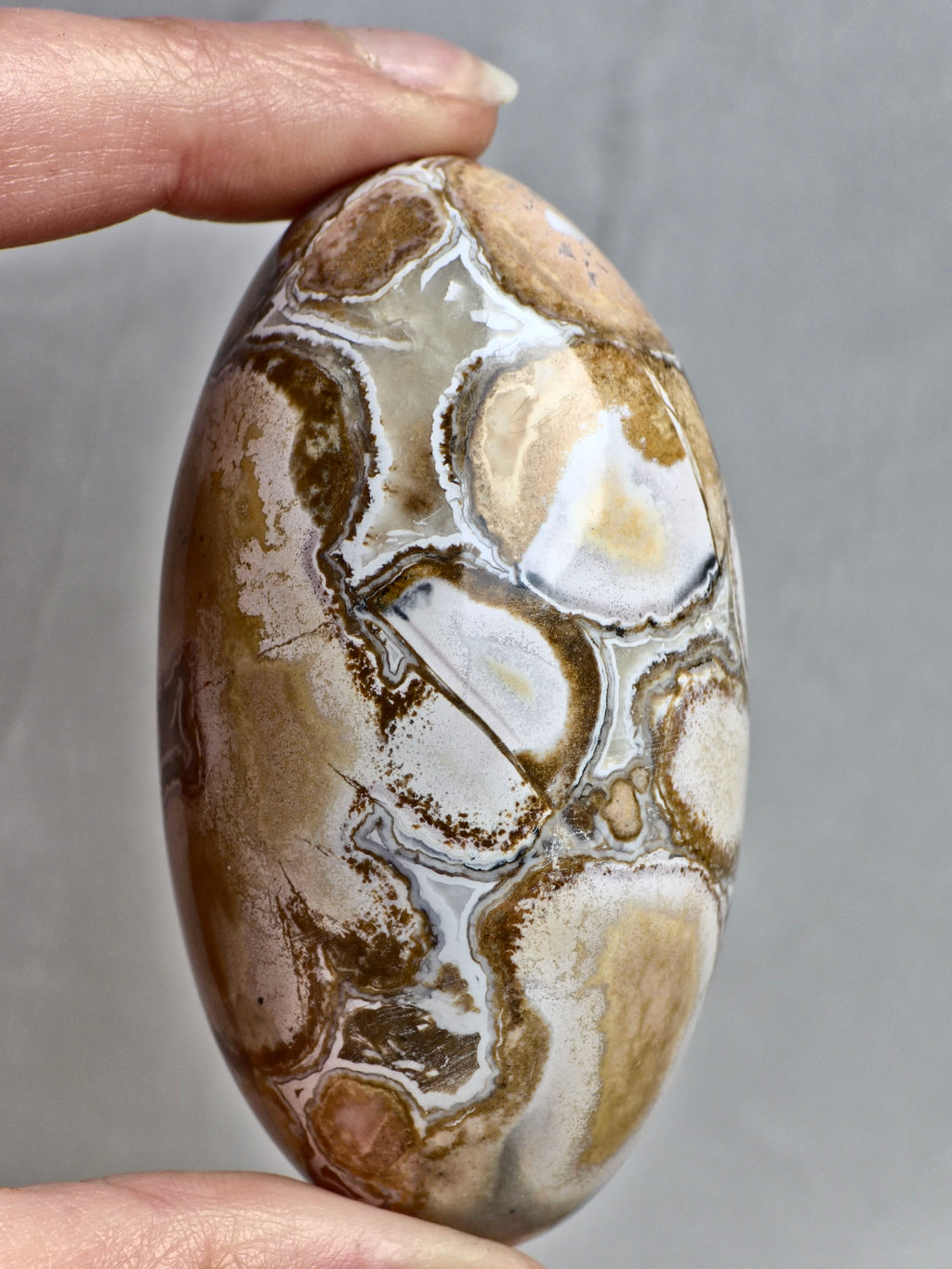 King Cobra (Orbicular) Indian Jasper Shiva Lingham