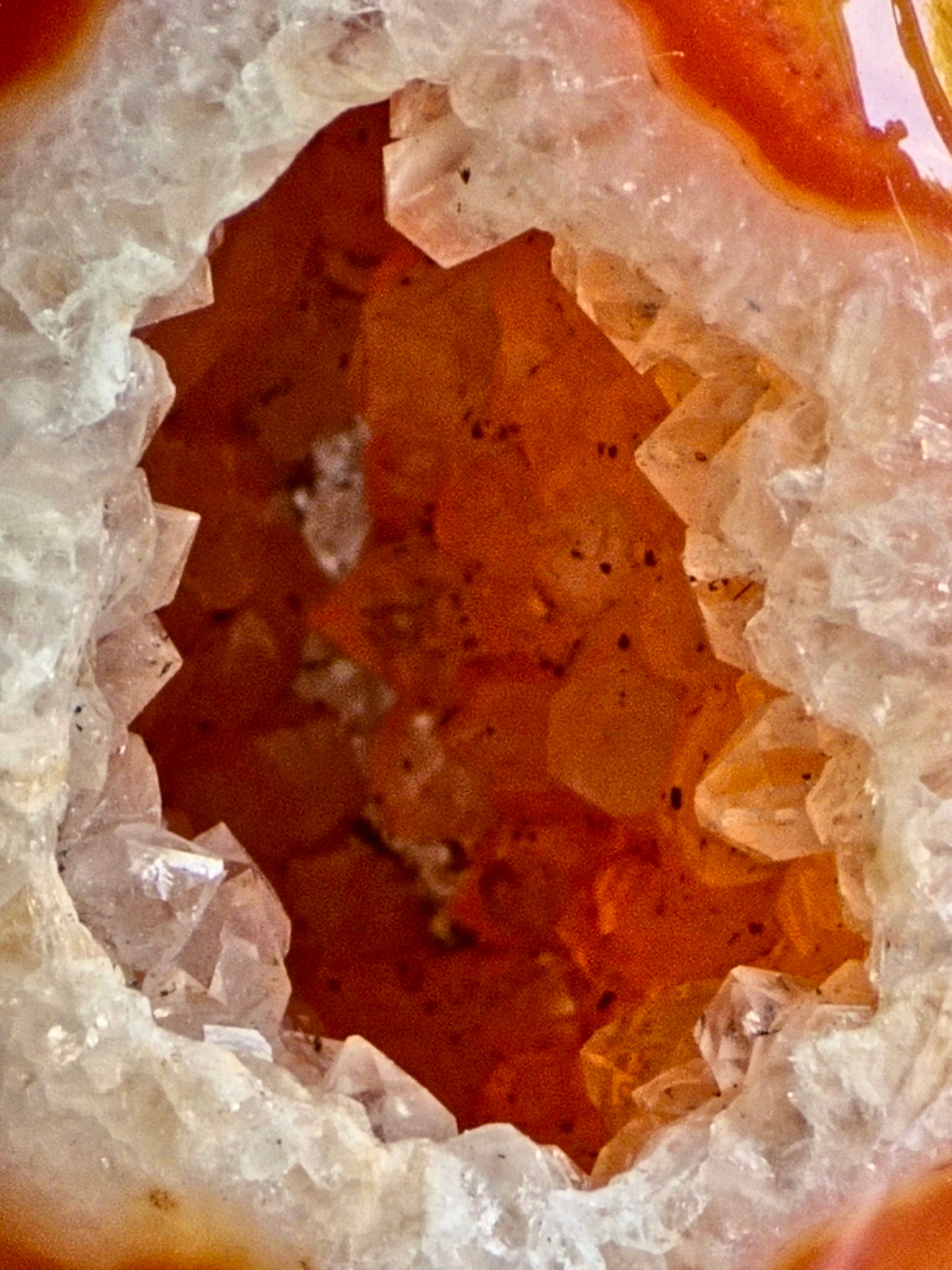 Carnelian Druzy Agate Egg — Deep Hollow with Defined Quartz Crystal Rim